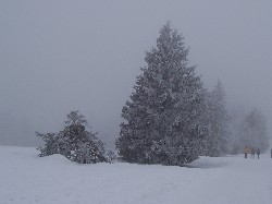 Winterlandschaft Kahler Asten